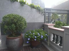 景观位-陶陶居·雅园(凯华国际店)