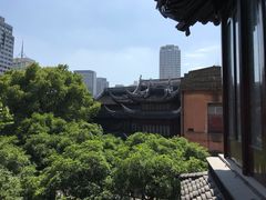 -上海白云观