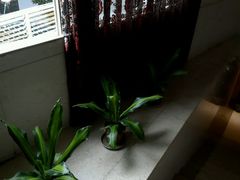 -乐享养生(东湖店)