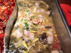 -舒来喜鱼锅(伊河路店)