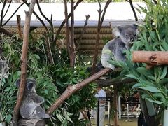 -可伦宾野生动物保护区