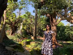 -Chom Cafe and Restaurant