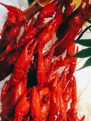 -宁波华侨温德姆至尊豪廷大酒店·宴会厅