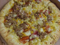 -达美乐比萨(国瑞北路店)