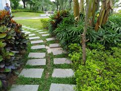 -宝安西湾红树林湿地公园