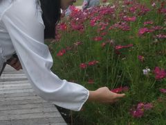 -五缘湾湿地公园