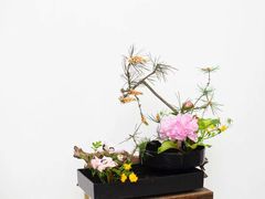 -荷兰布尔玛国际花艺学院