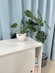 -上海首尔丽格医疗美容医院