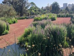 -墨尔本皇家植物园