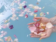 -东海森林温泉