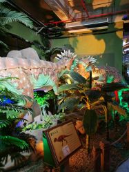 -恐龙探索乐园(磁器口店)