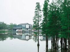 -白鹭湾湿地公园