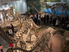 -自贡恐龙博物馆