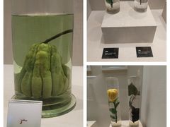 -广东中医药博物馆