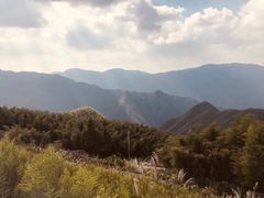 -江南天池