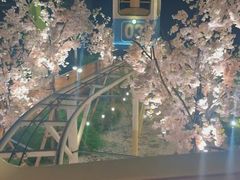 -汕尾风车岛