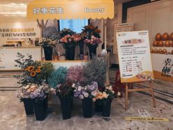 点击看大图 -深圳阳光医疗美容