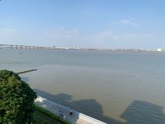 -大湾区中央湿地公园