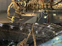 -中国西峡恐龙遗迹园
