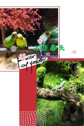 -酷嗒动物文化乐园(cutezoo西溪乐天城店)