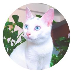 -尚美日式美甲美睫工作室