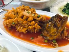 松子鲈鱼-兴安餐厅(兴安路店)
