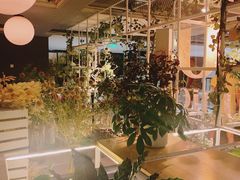 -The ROOF (通盈中心店)