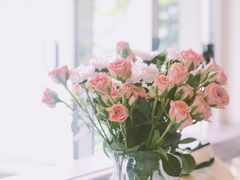 -甜阿姨·天台花园私房菜(万松园店)