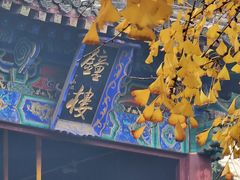 -洛阳白马寺