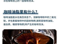 -王森咖啡西点烘焙培训(上海名厨中心店)