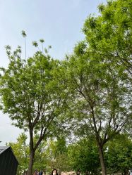 点击看大图 -优沃得自然教育农场·冰雪乐园·生日会·研学