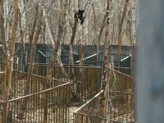 -哈尔滨北方森林动物园