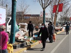 -团泊镇示范集贸市场