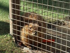 景点-南宫五洲植物乐园