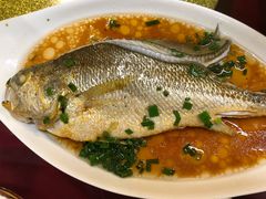 -老福洲(西洪路店)