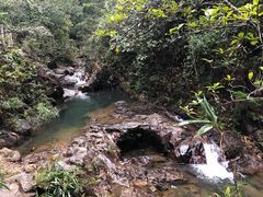 -九龙江国家森林公园