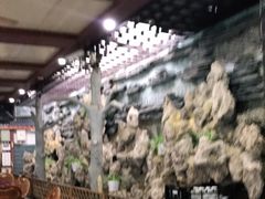 -满天星花园