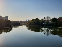 -新江湾城公园