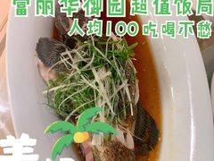 清蒸石斑鱼-富丽华大酒店·御园中餐厅(茶亭路店)