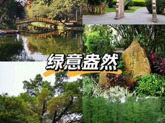 -晓港公园