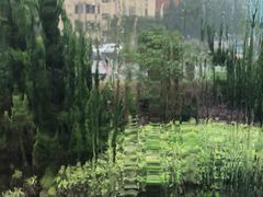 -上海神旺大酒店