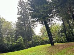 -广州市白云山风景名胜区