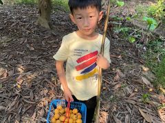 -塘栖枇杷特色园区