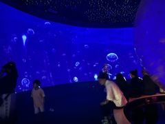 -江和美海洋公园