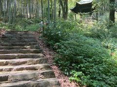 -东明山森林公园