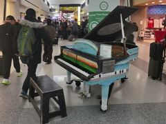 -纽瓦克自由国际机场