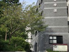 -镰仓 峰本(八幡宫前本店)