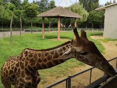 -石家庄市动物园