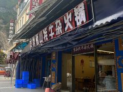 -金鼎雪山牦牛杂火锅(理县总店)