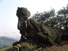 -铁山坪森林公园